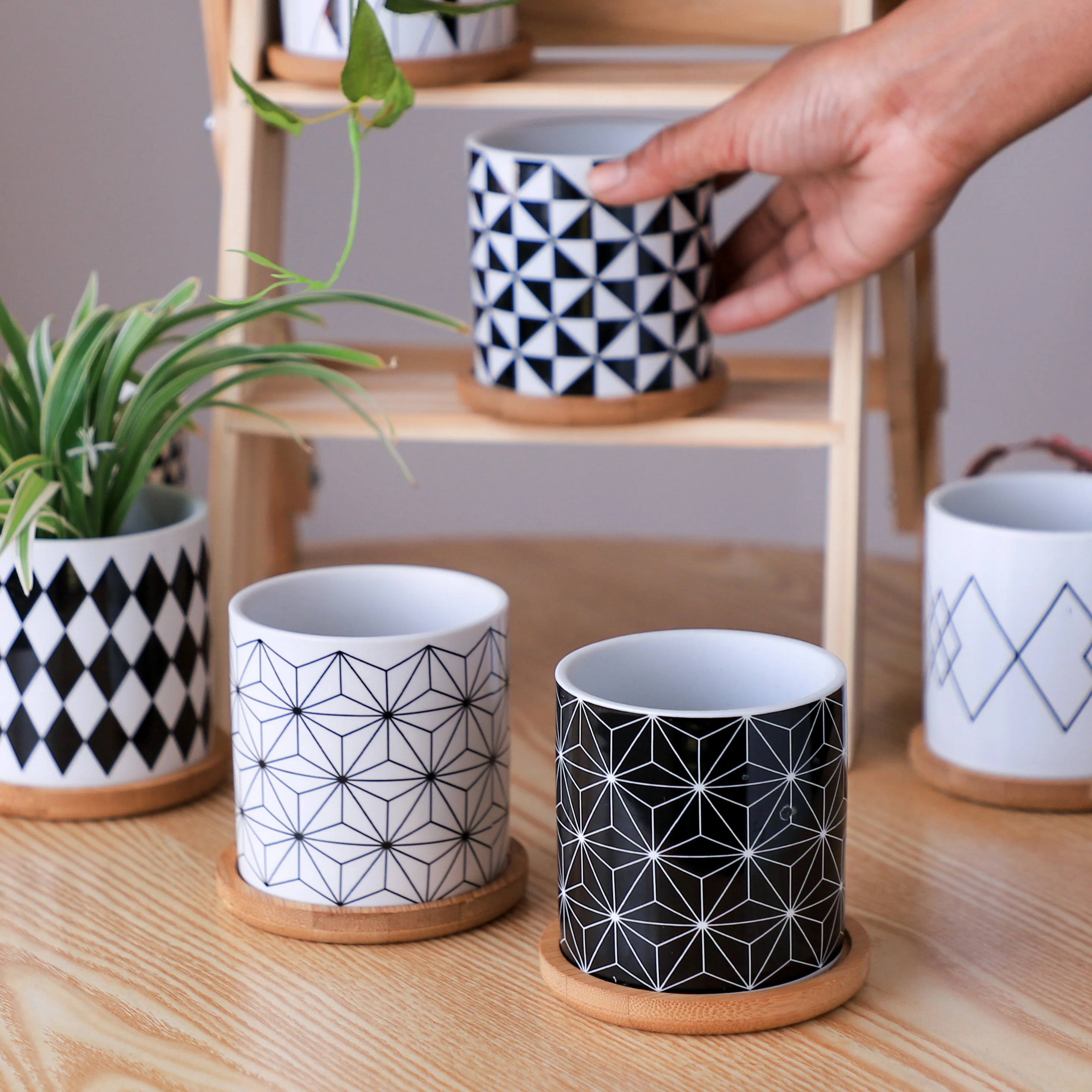 Black And White Planter - Image 11