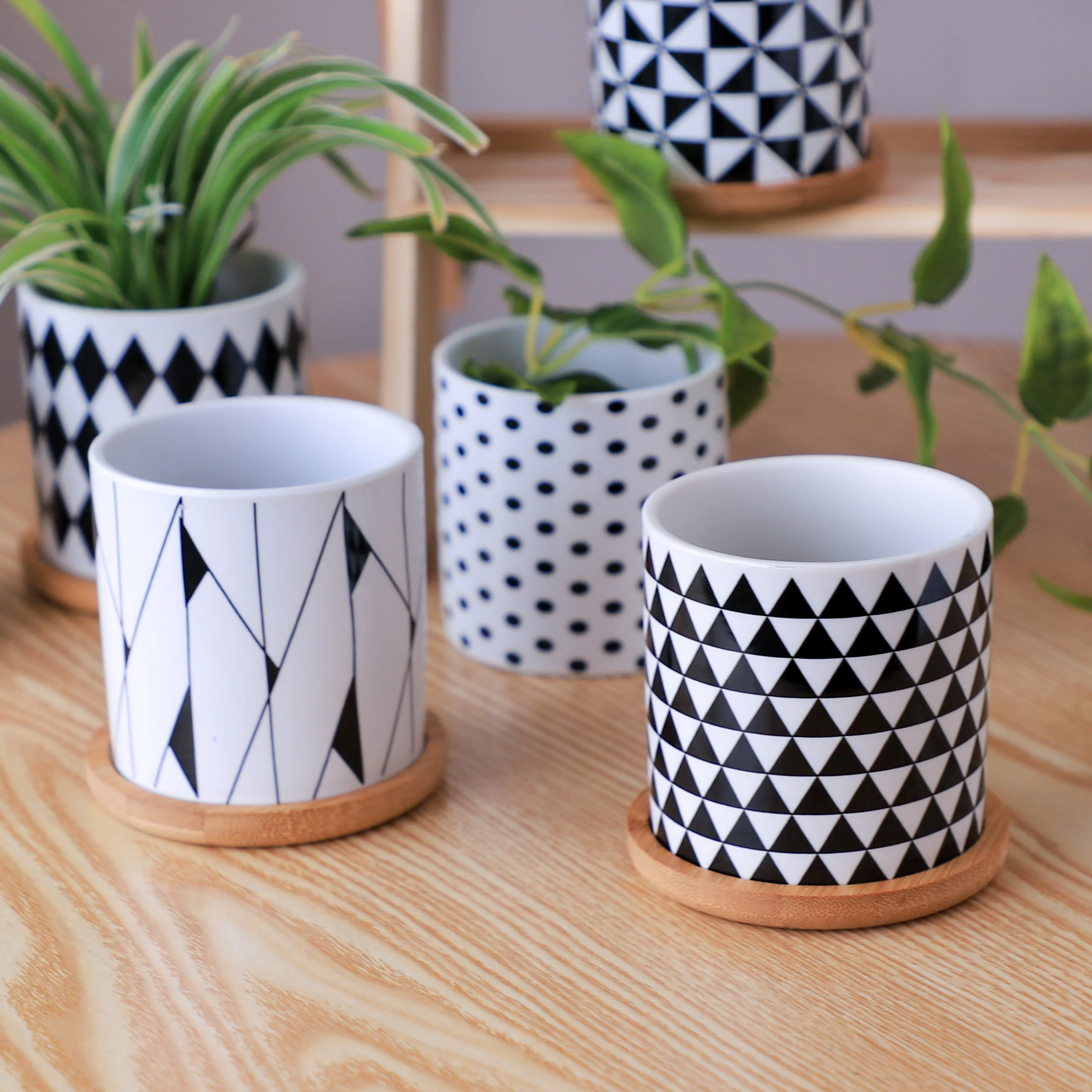 Black And White Planter - Image 12