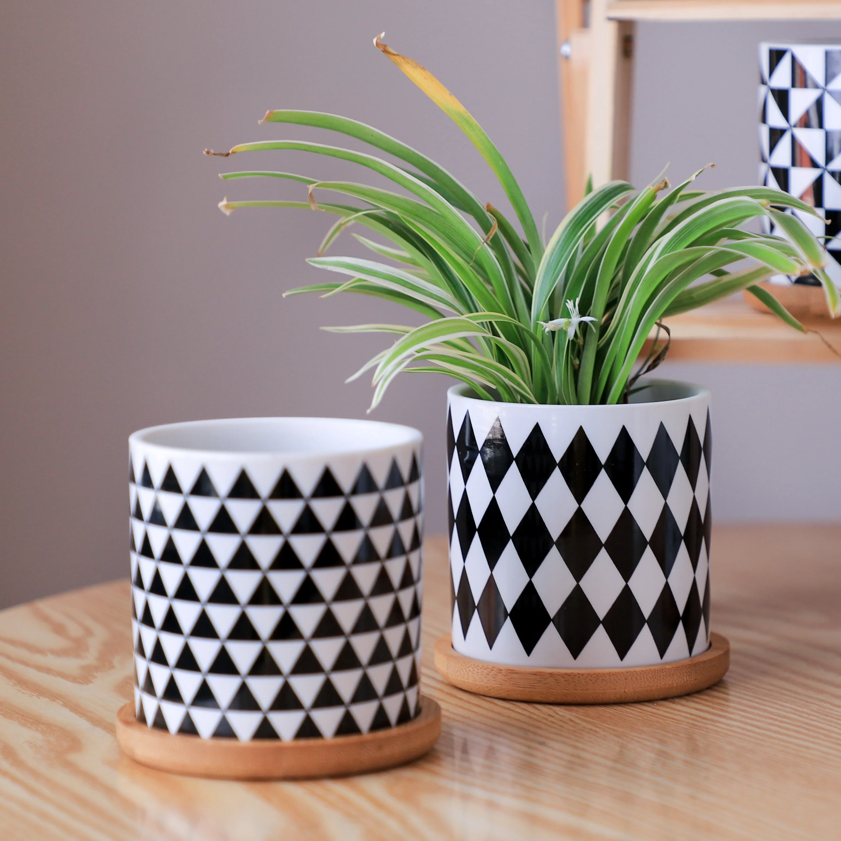 Black And White Planter - Image 14