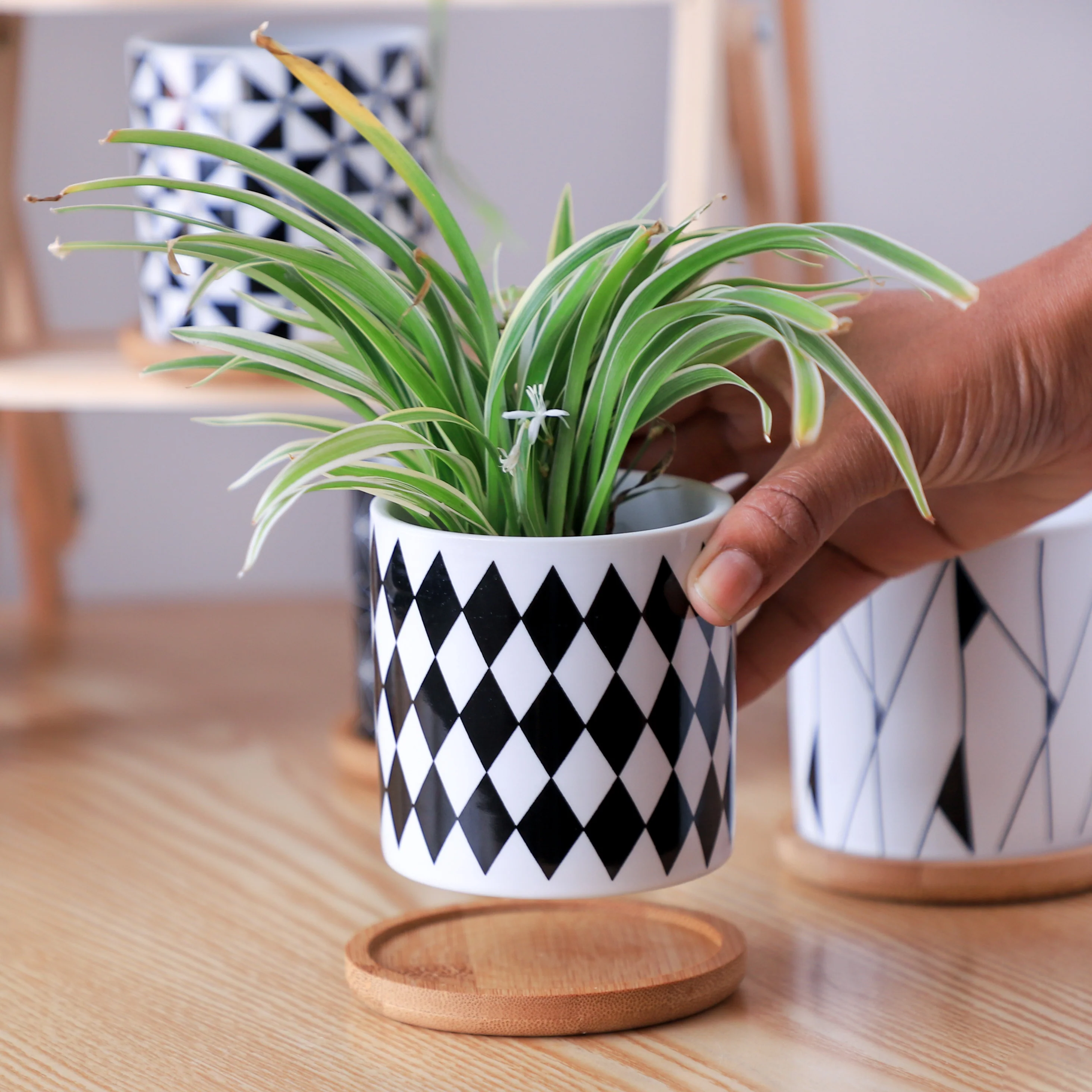 Black And White Planter - Image 15
