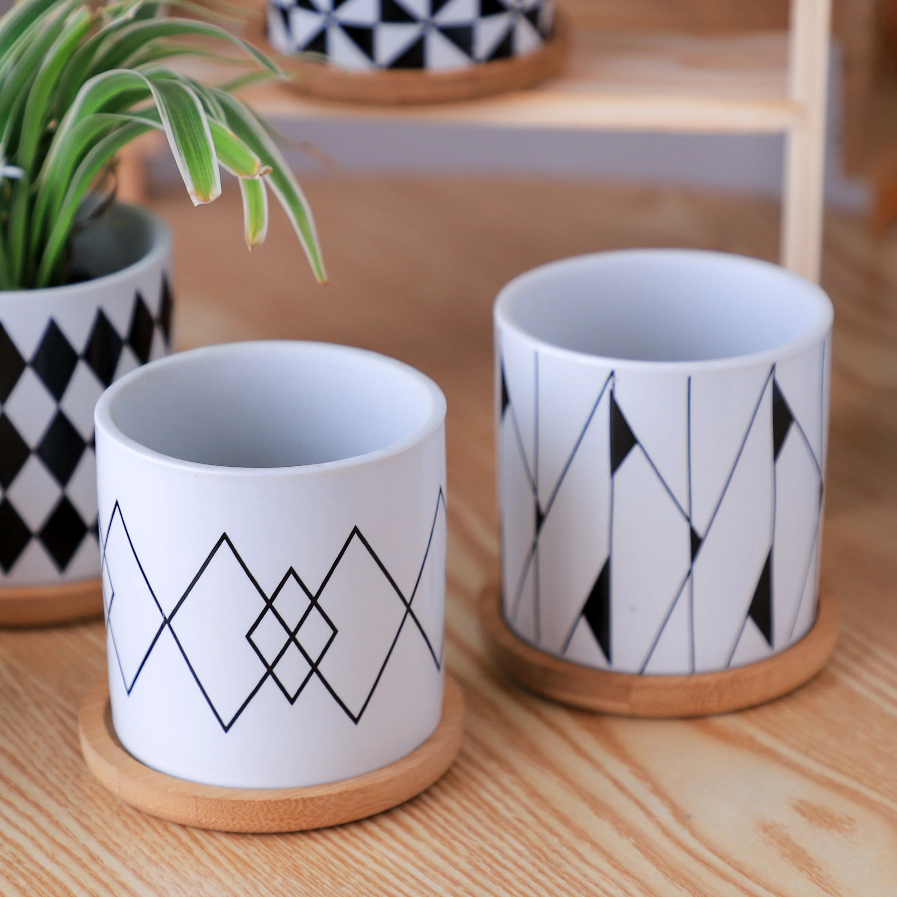 Black And White Planter - Image 16