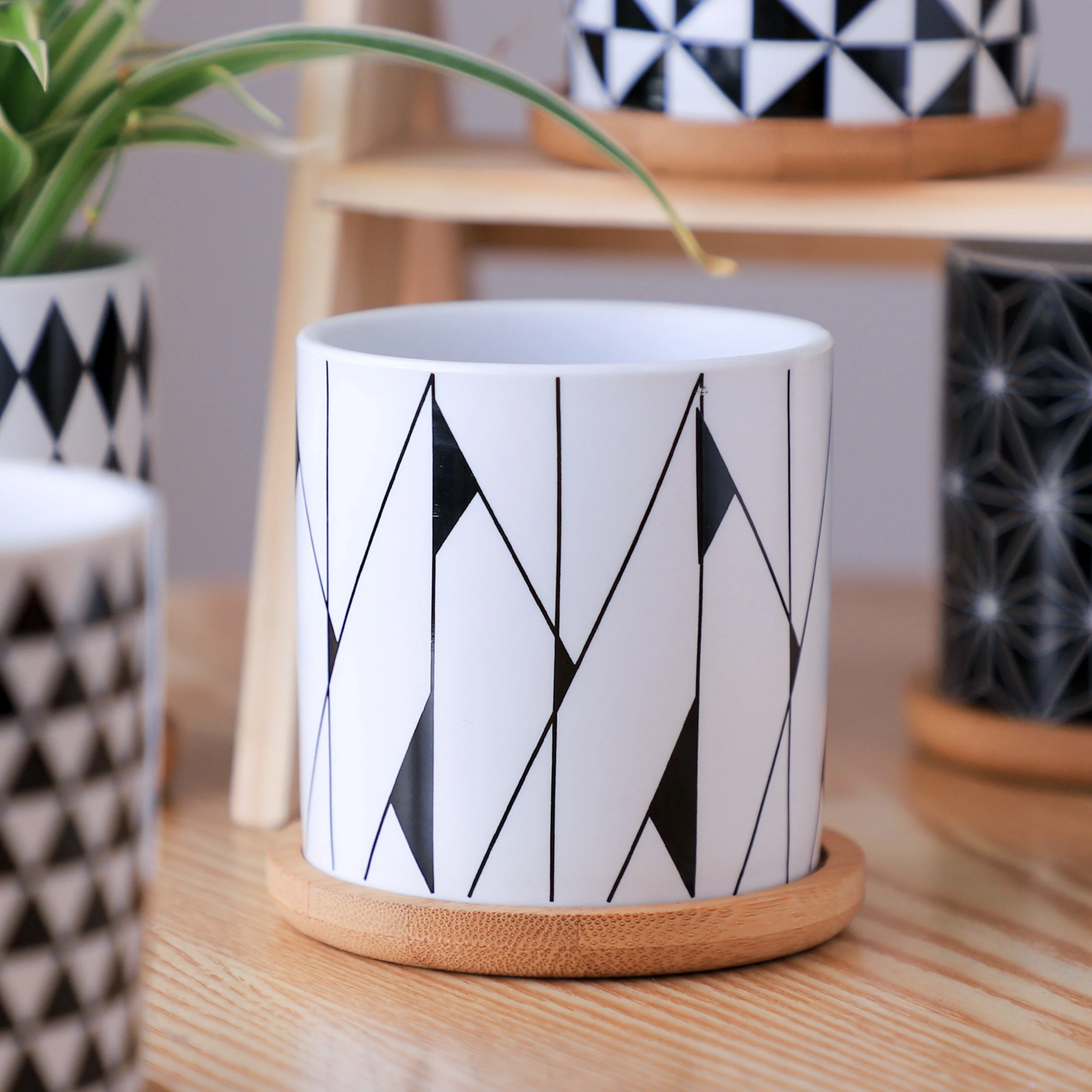 Black And White Planter - Image 20