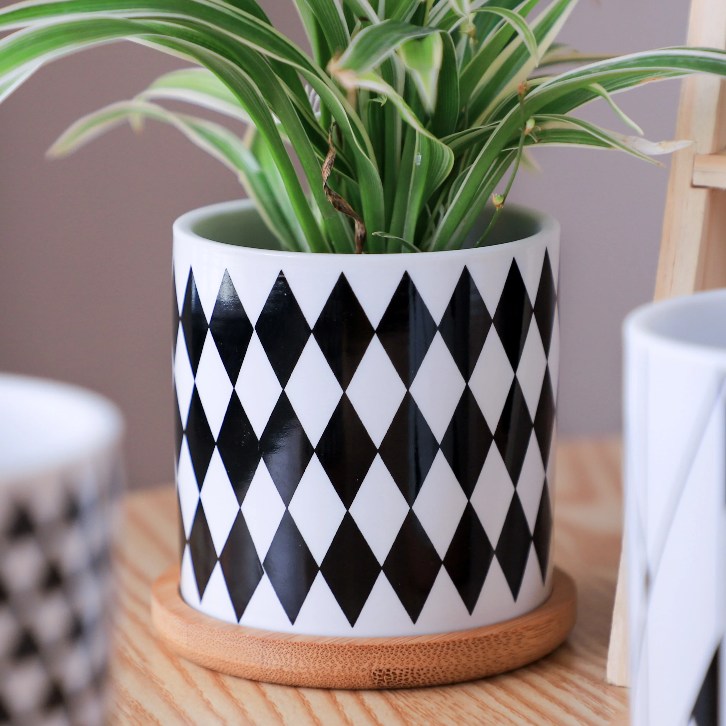 Black And White Planter - Image 27