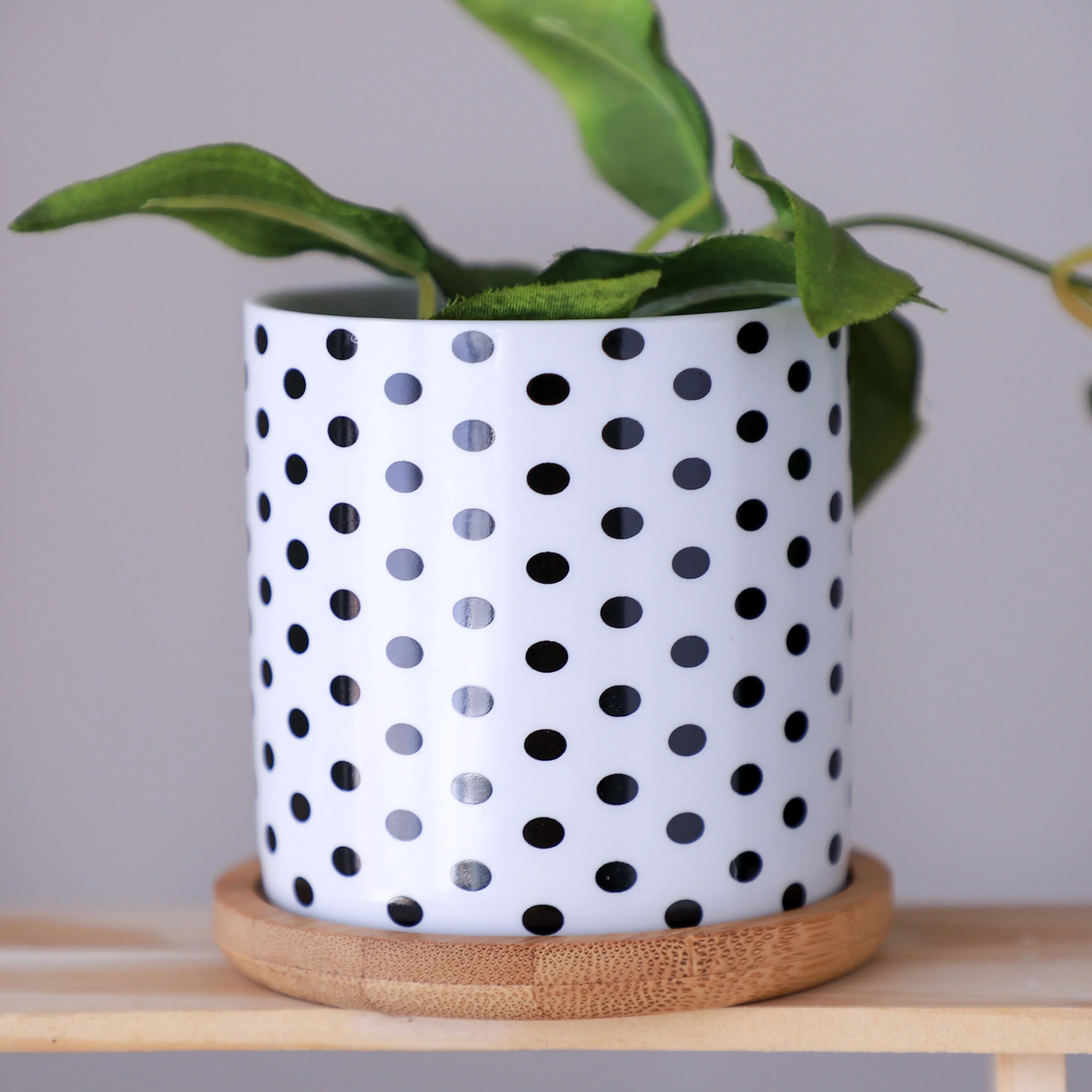 Black And White Planter - Image 28