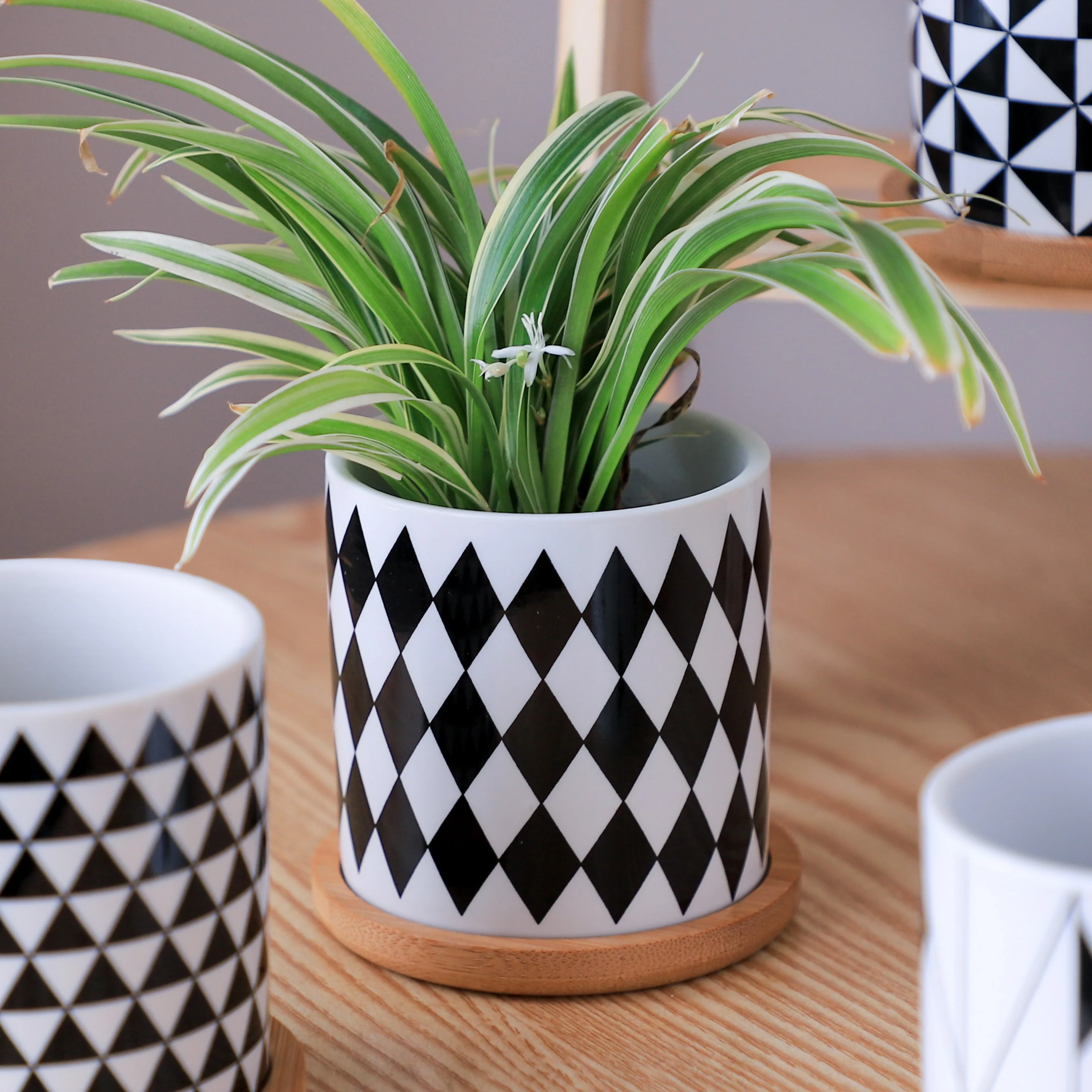 Black And White Planter - Image 29
