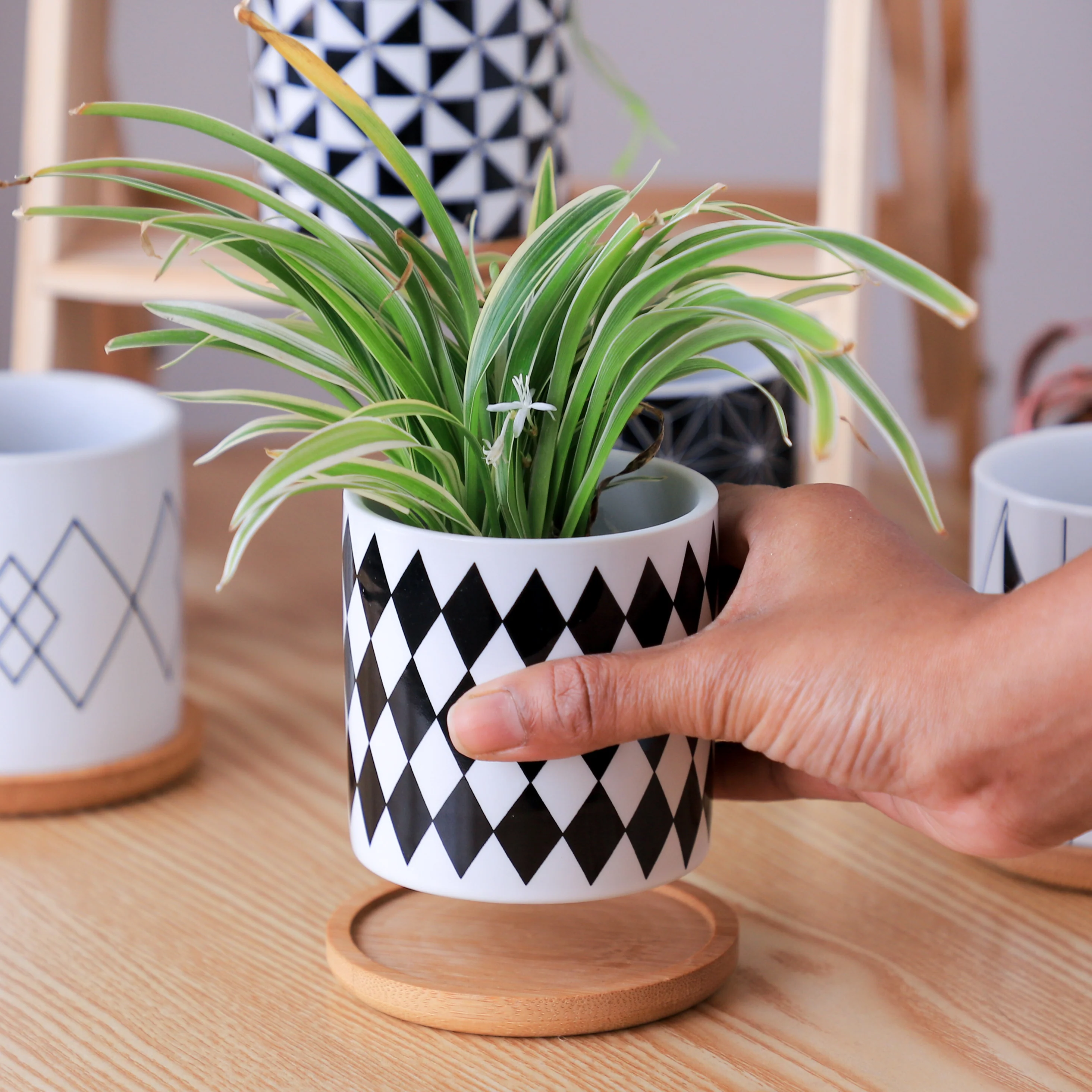 Black And White Planter - Image 30