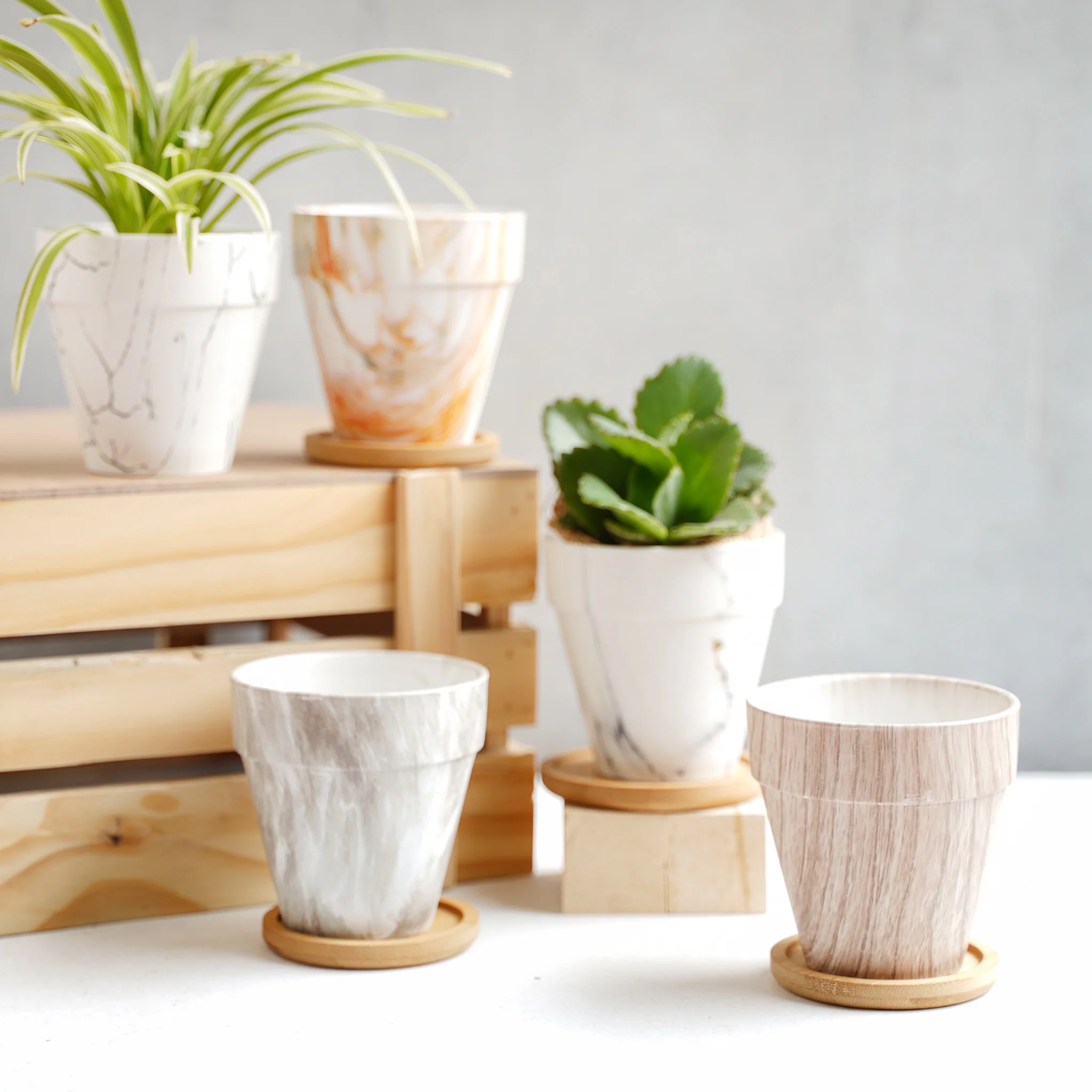 Ceramic Planter - Image 5