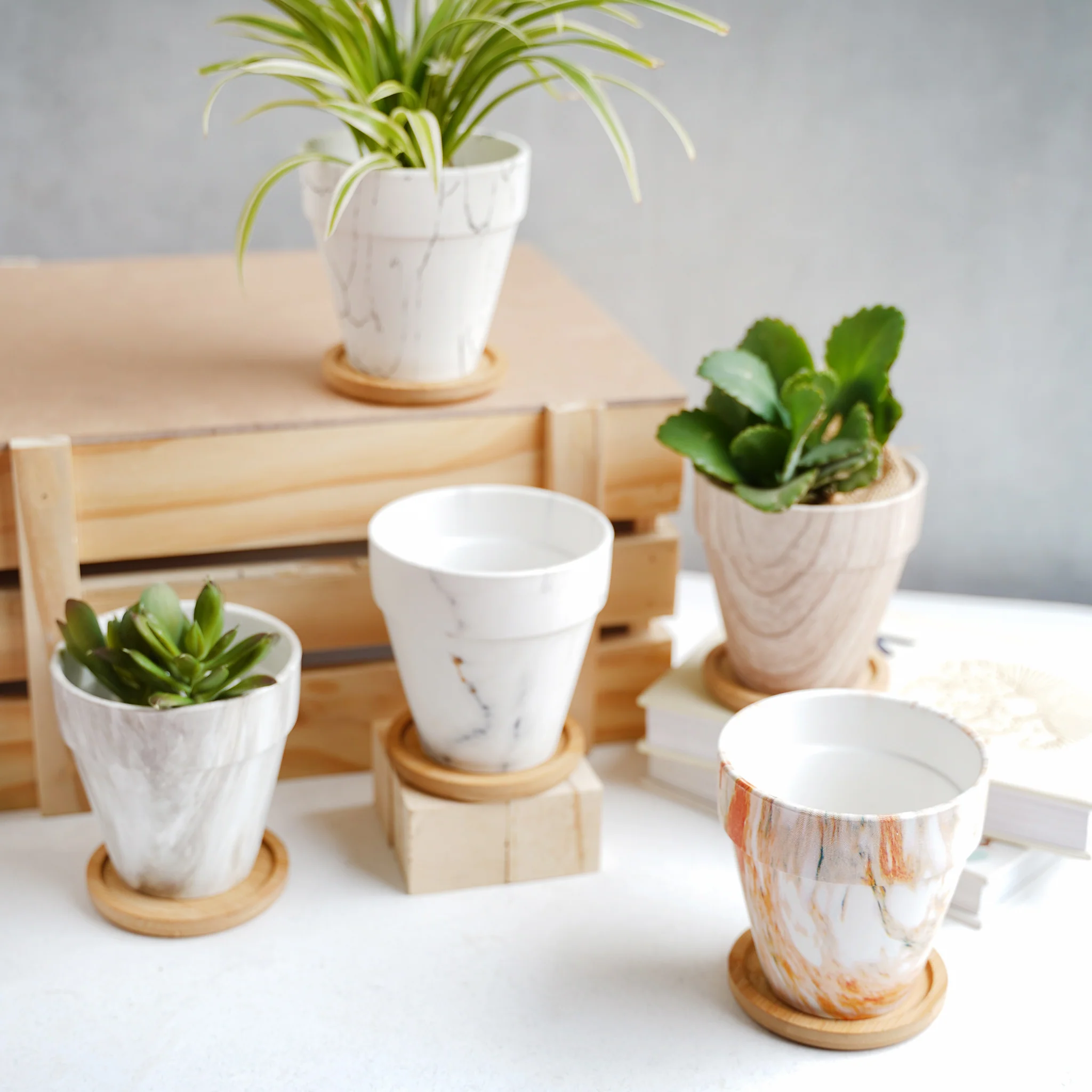 Ceramic Planter - Image 8
