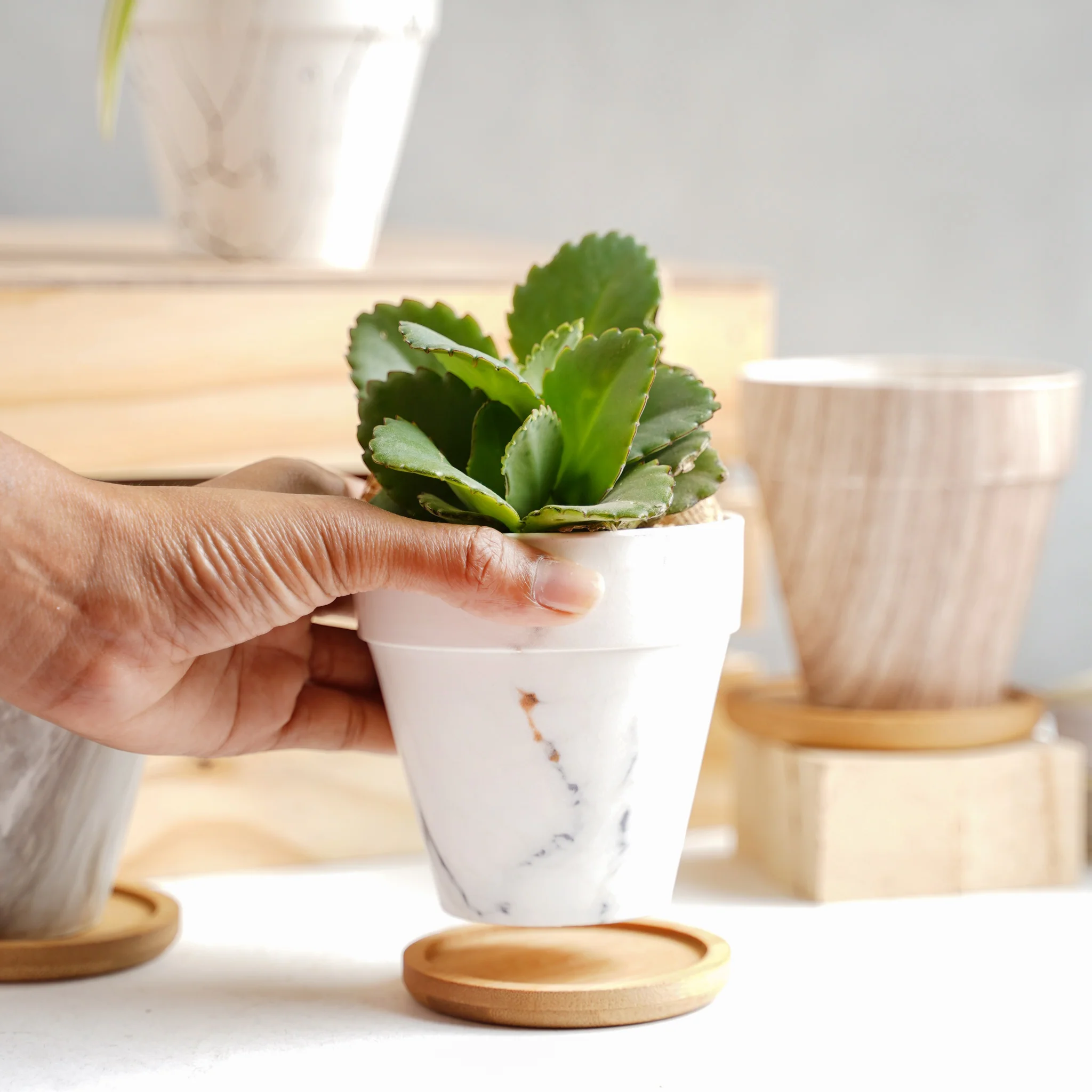 Ceramic Planter - Image 9