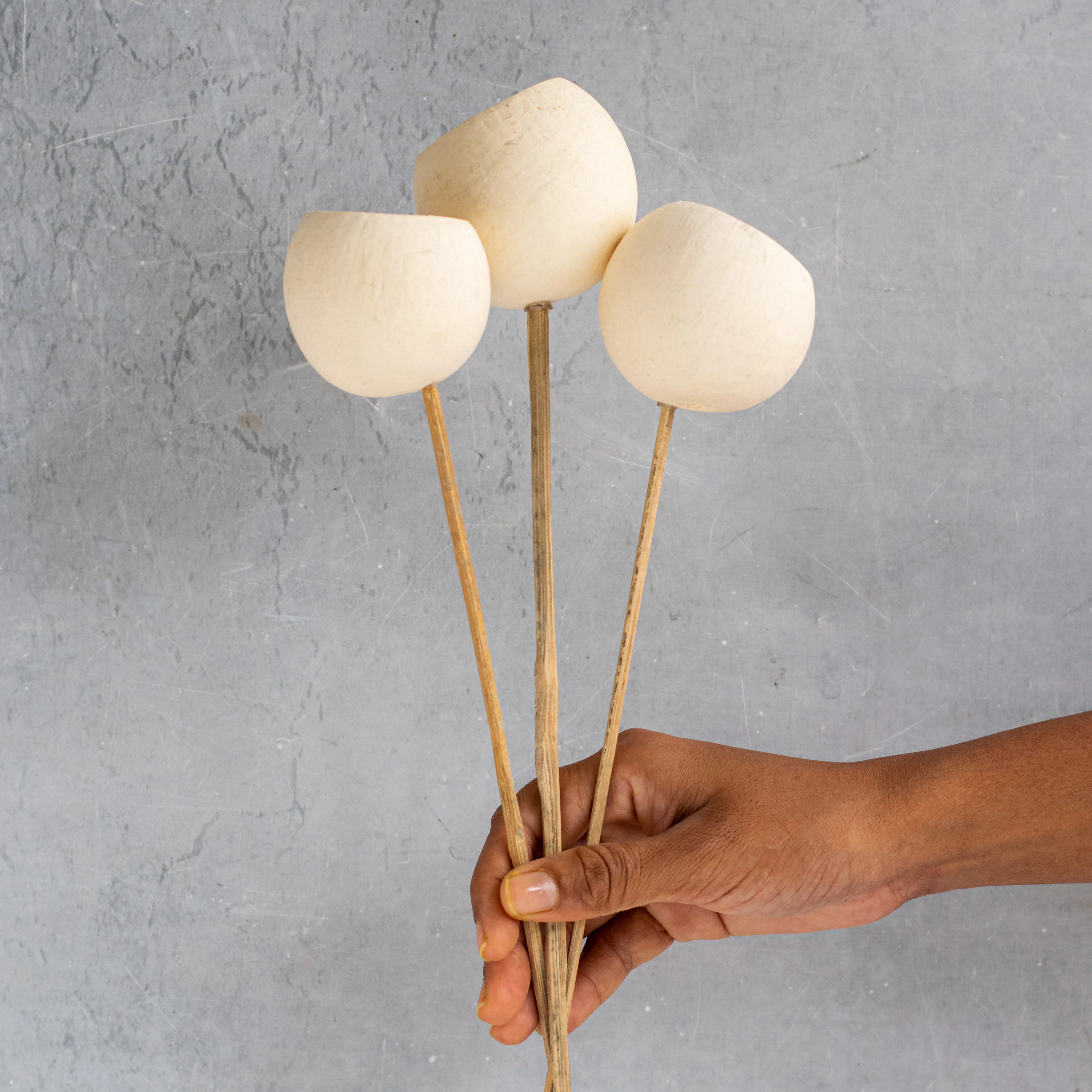 Decorative Stick For Tall Vase - Image 3