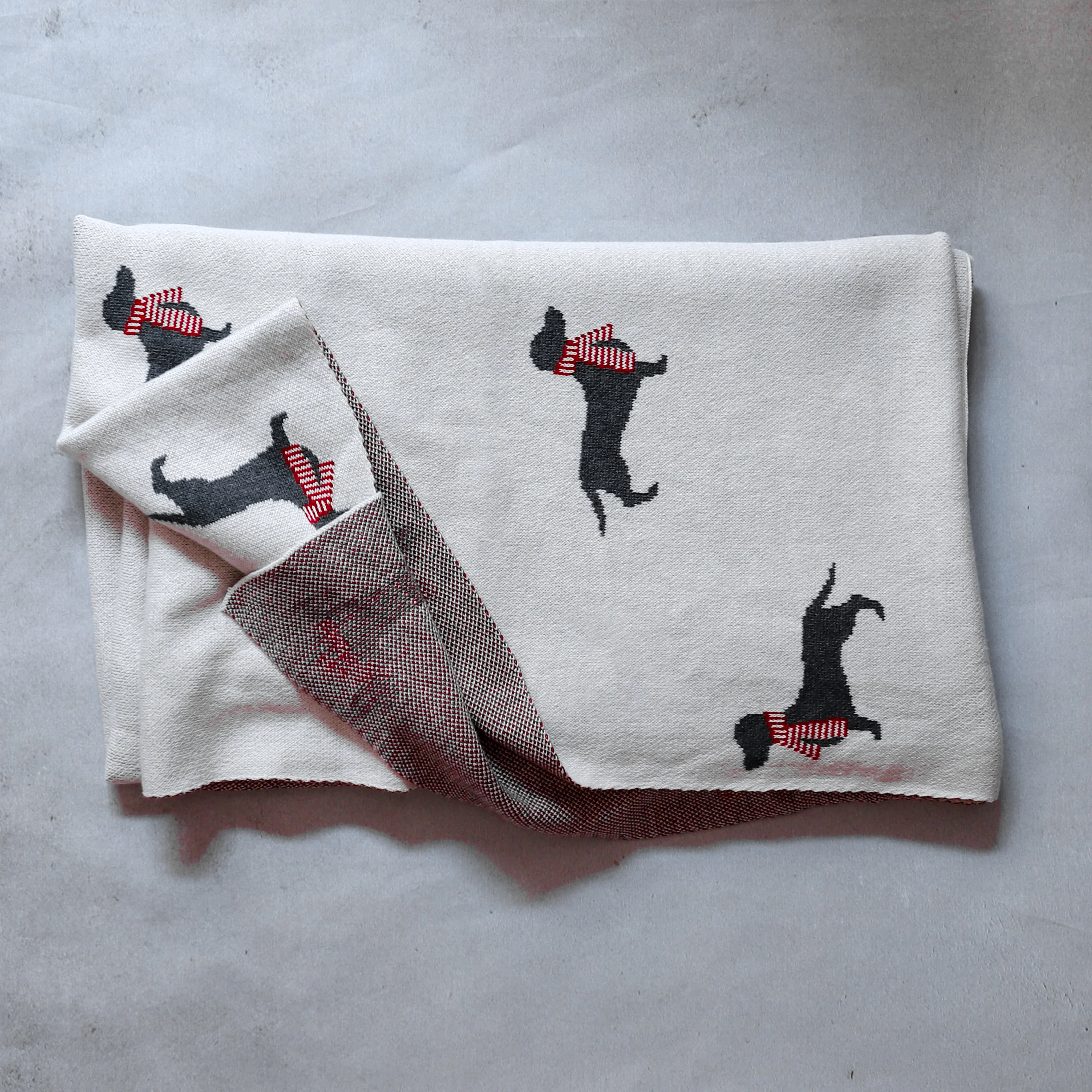 Dog Throw - Image 4