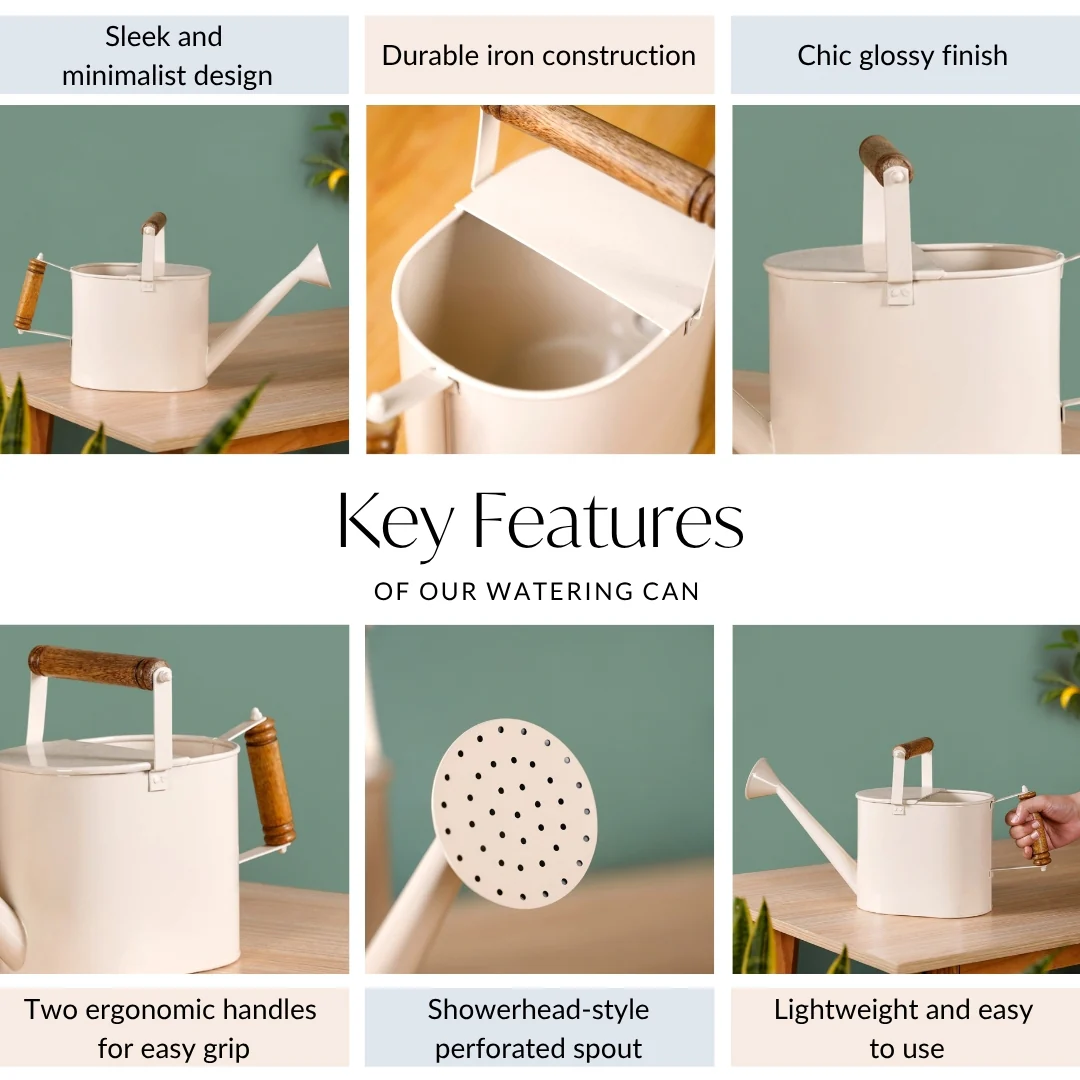Glossy Finish Metal Plant Watering Can With Dual Wooden Handle - Image 6