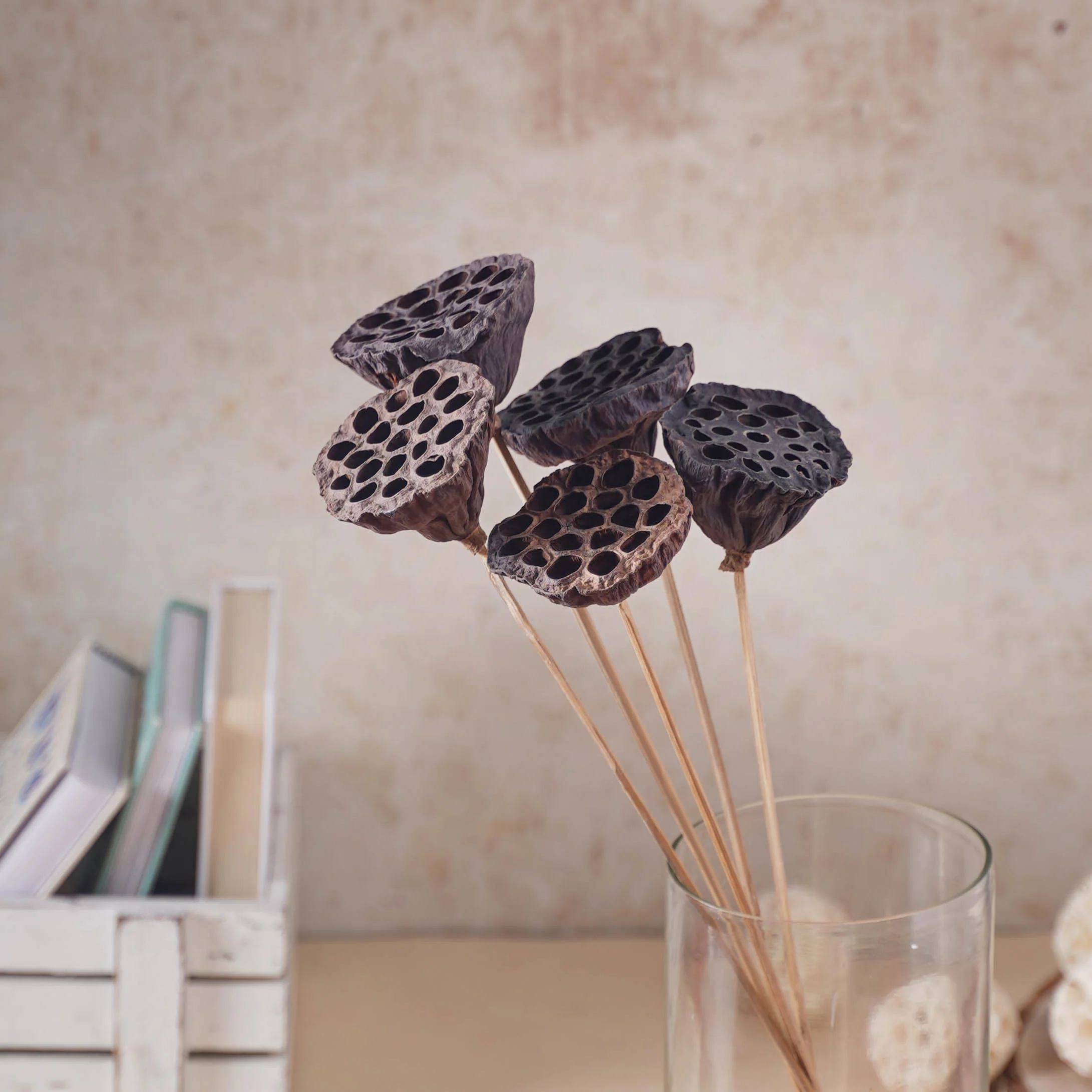 Lotus Seed Pod - Image 3