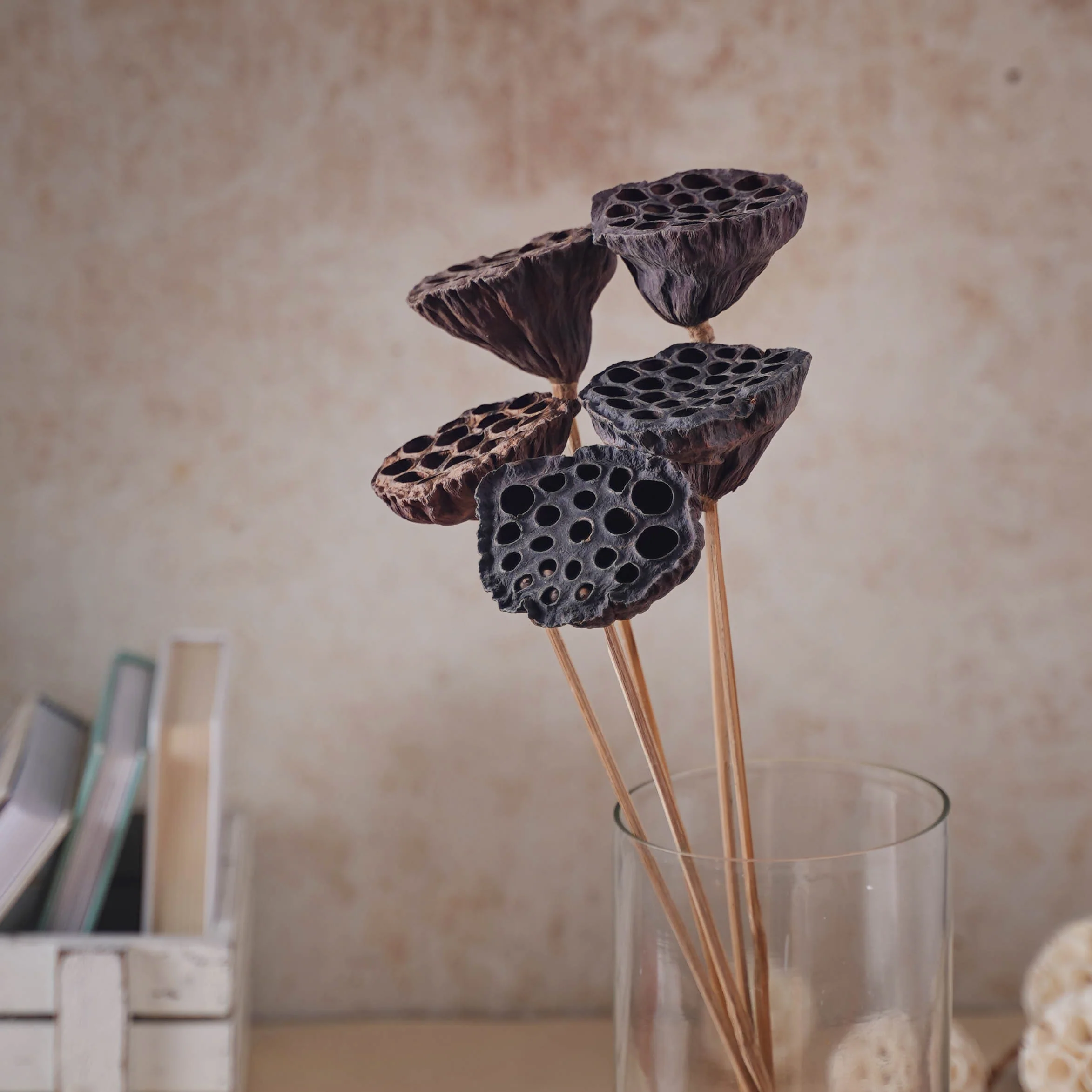 Lotus Seed Pod - Image 6