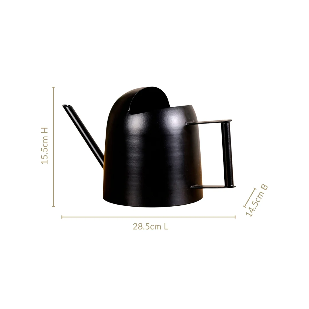 Matte Finish Metal Watering Can For Plants Black - Image 4