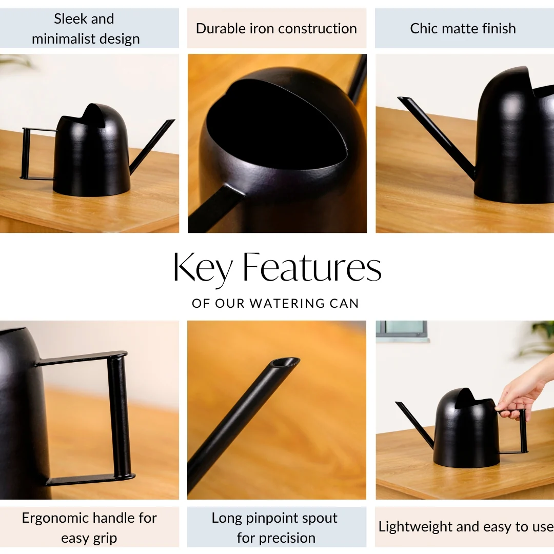 Matte Finish Metal Watering Can For Plants Black - Image 5