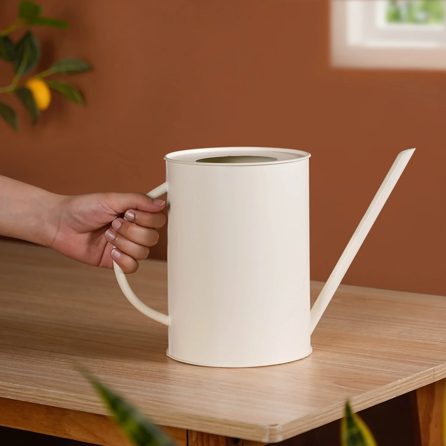 Matte Finish Metal Watering Can Off White - Image 3