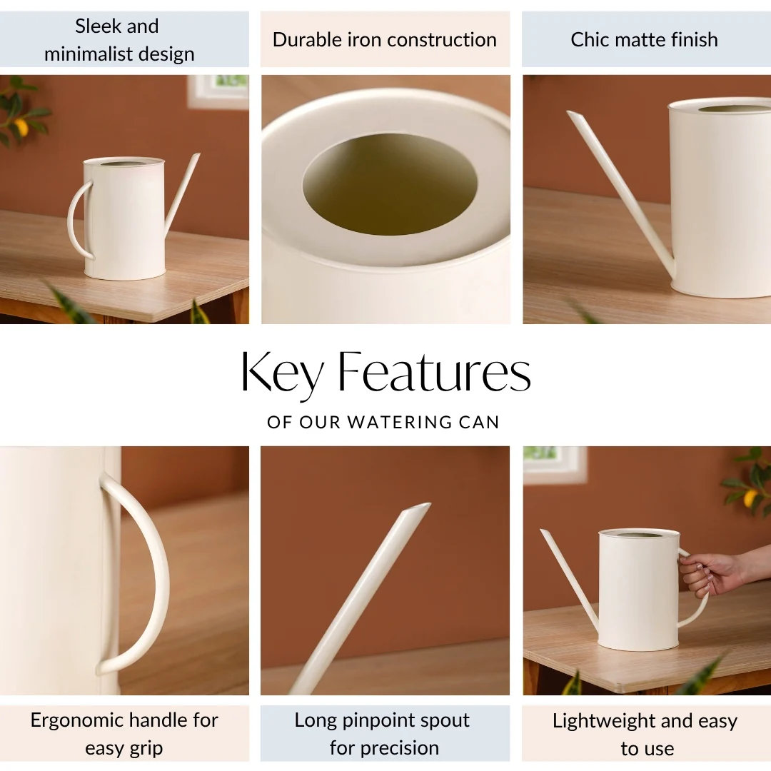 Matte Finish Metal Watering Can Off White - Image 5