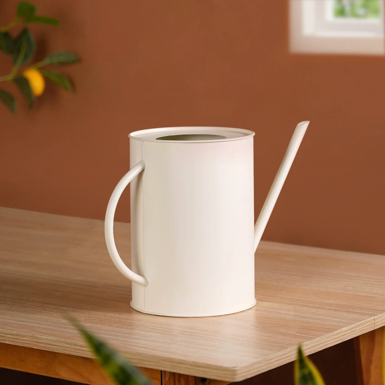 Matte Finish Metal Watering Can Off White - Image 8