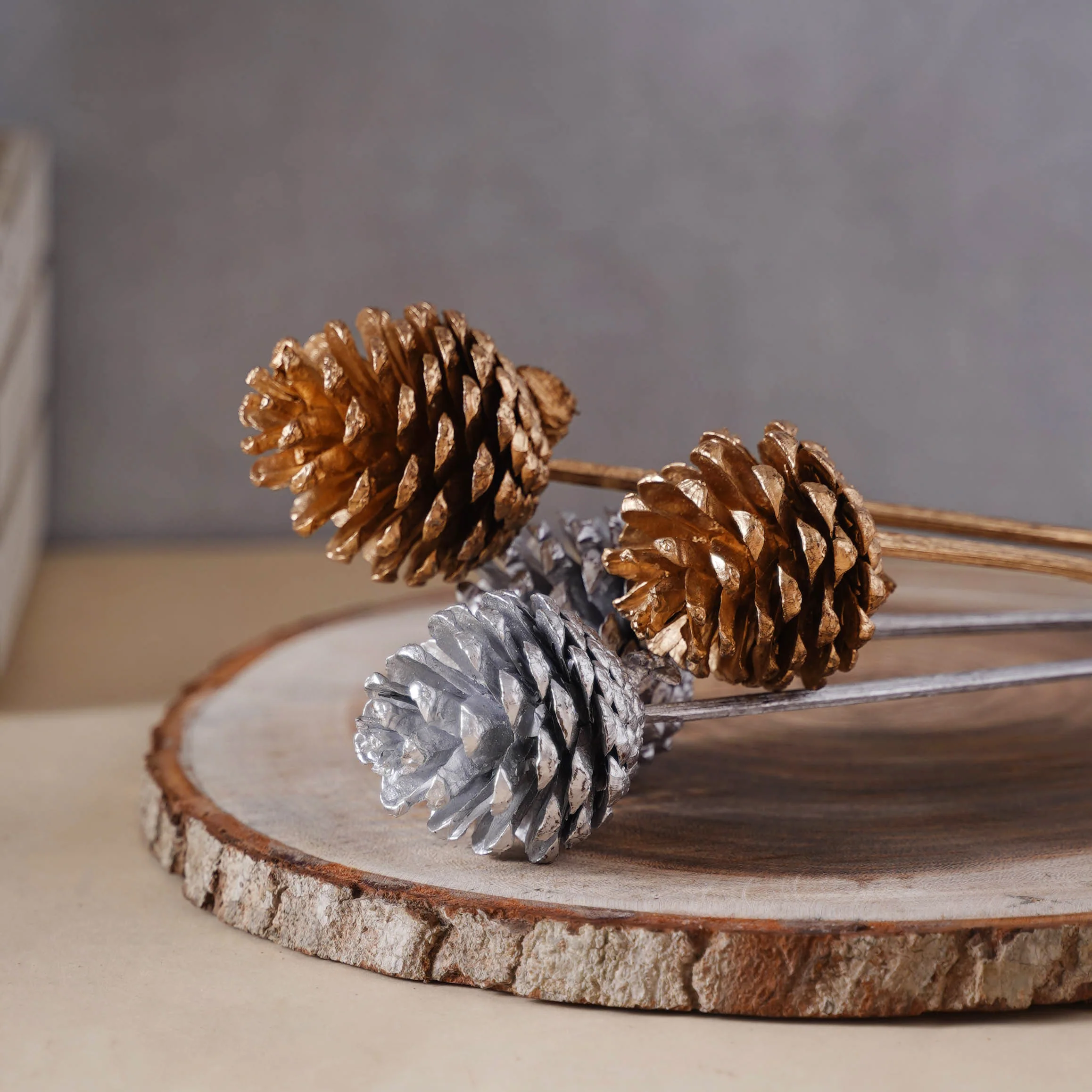 Painted Pine Cones - Image 3