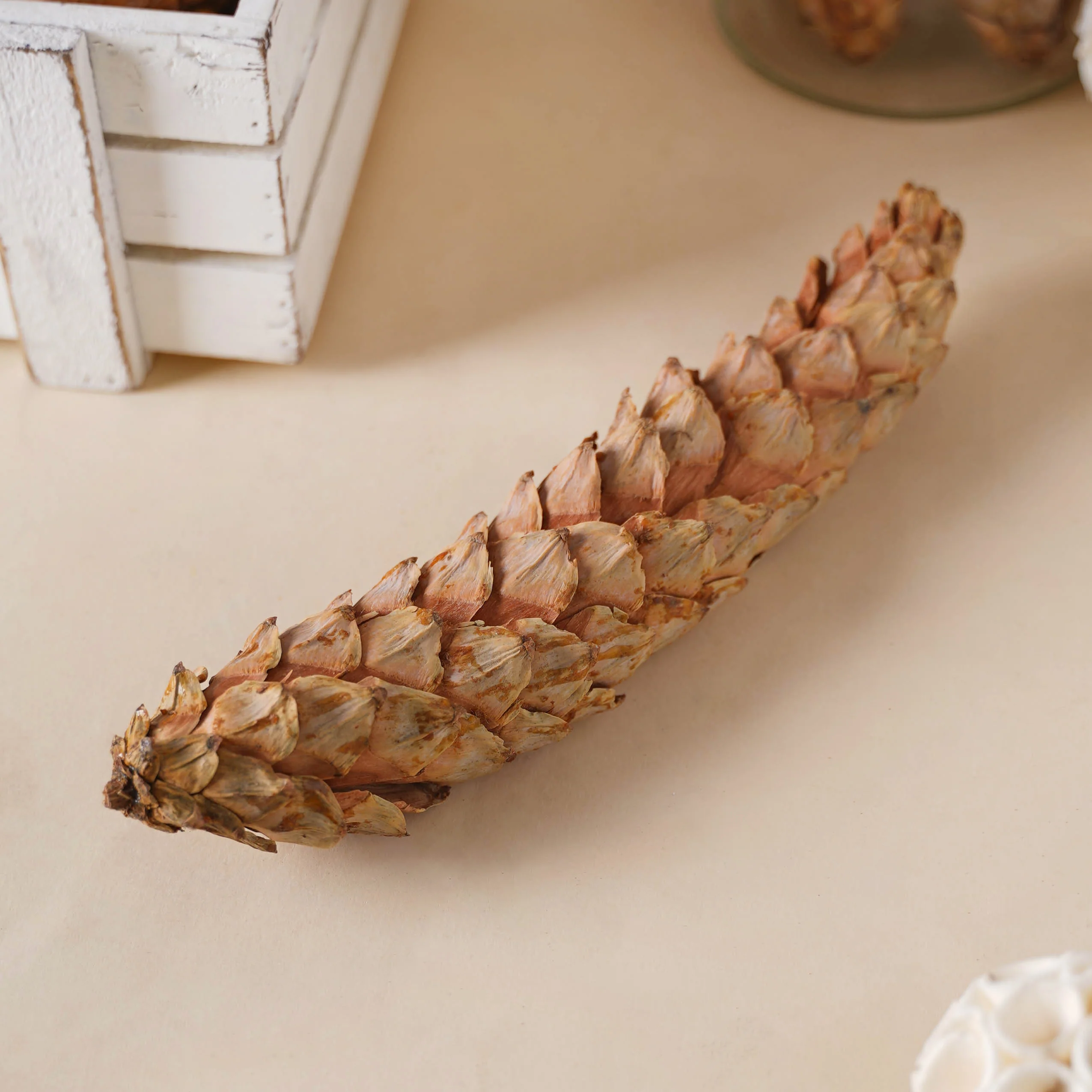 Pine Filler - Image 5