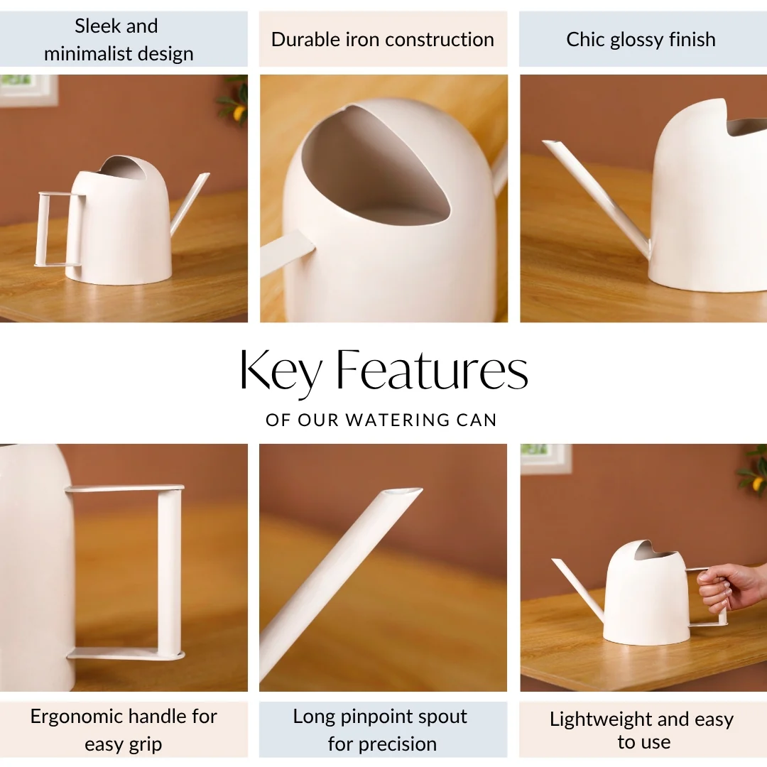 Plant Watering Can With Glossy Metal Finish Shell - Image 5