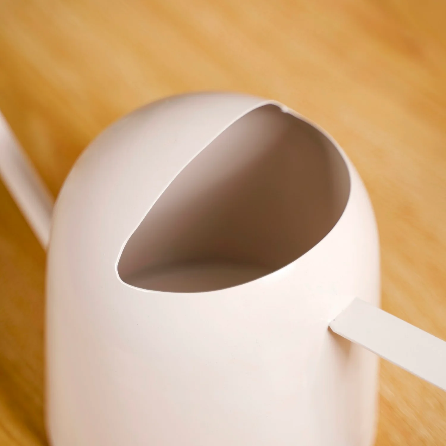 Plant Watering Can With Glossy Metal Finish Shell - Image 6