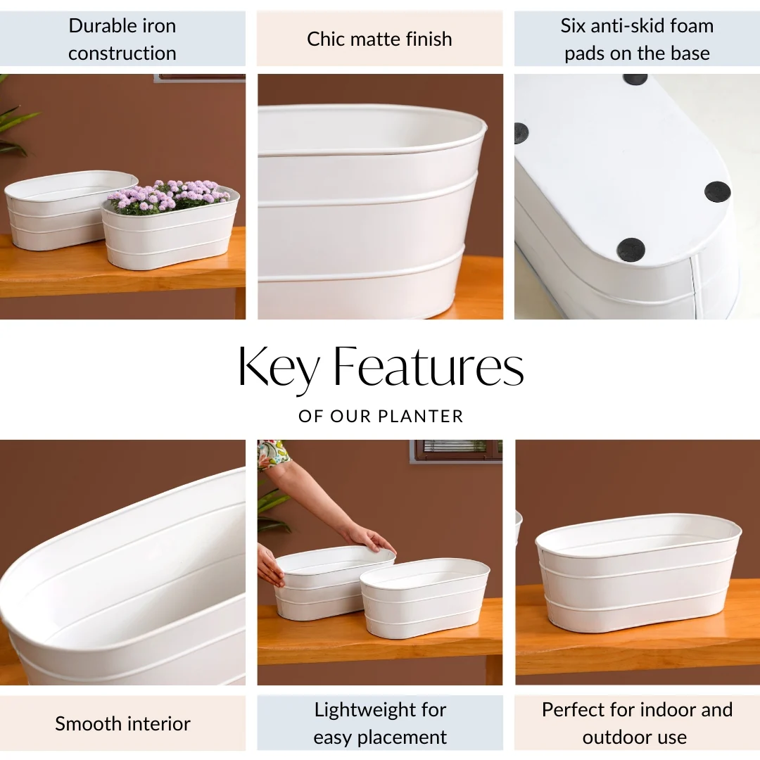 Trough Lined Minimalist Oval Plant Holder Set Of 2 Ivory - Image 5