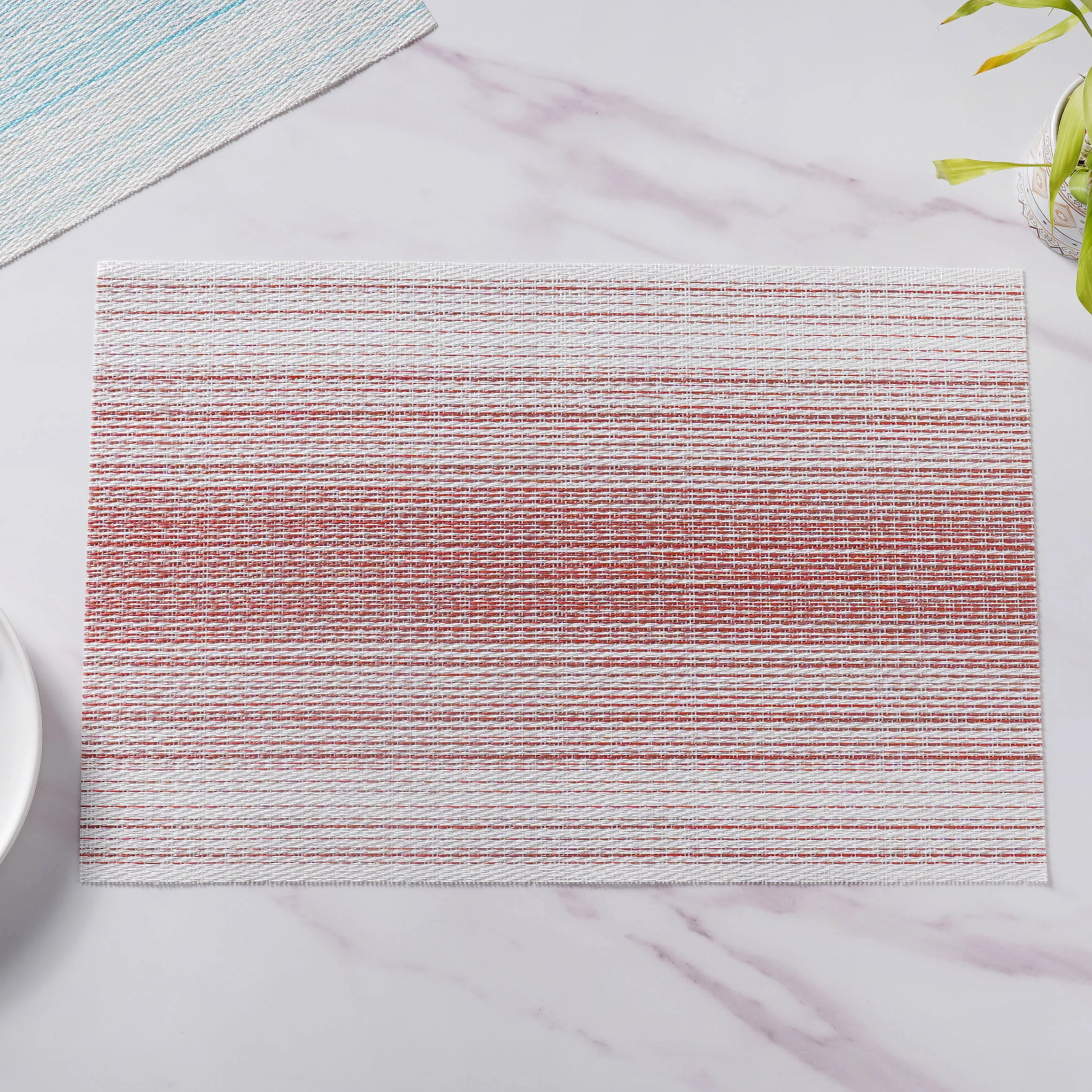 Vinyl Placemat Set - Image 11