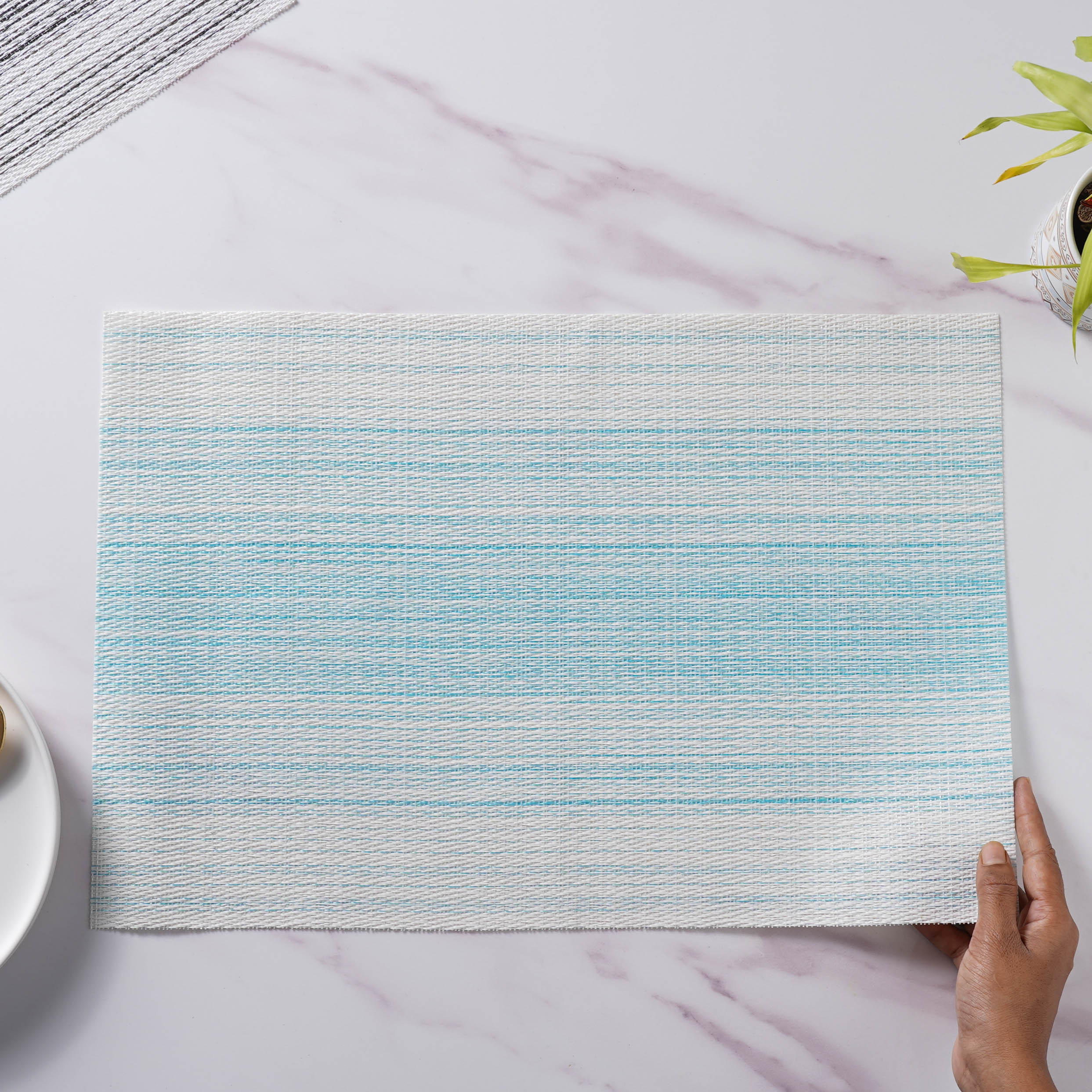 Vinyl Placemat Set - Image 14
