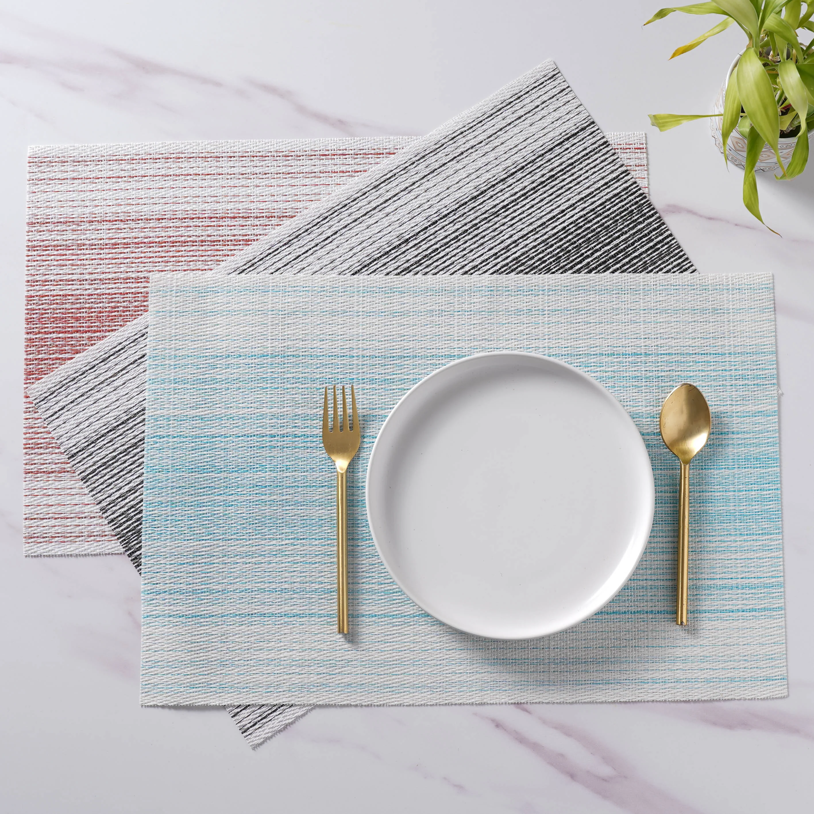 Vinyl Placemat Set - Image 4