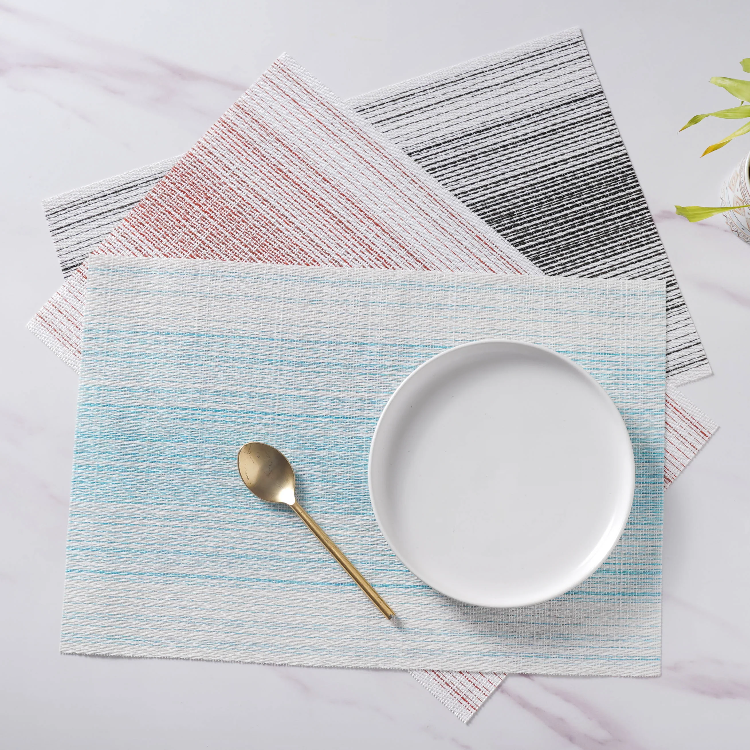 Vinyl Placemat Set - Image 9